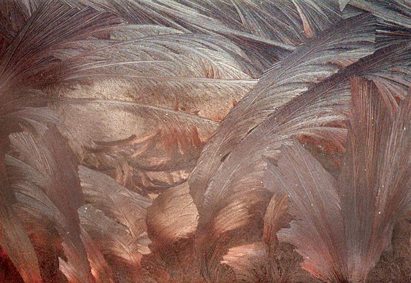 Jack Frost - Lydia Vulliamy.jpg